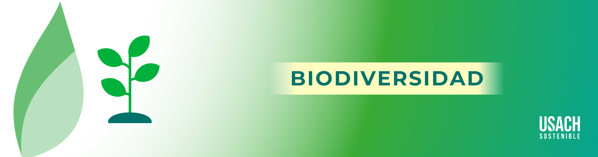Portada proyectos relacionados con Biodiversidad en Campus USACH