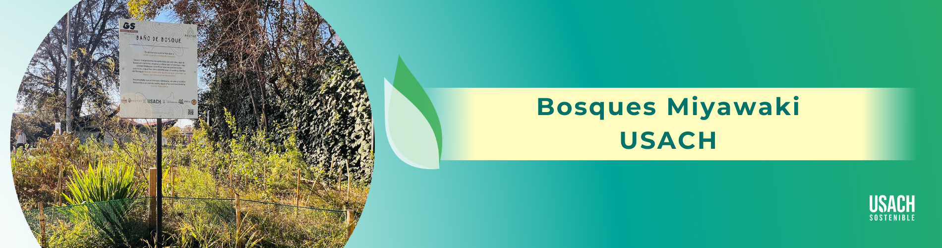 Foto portada proyecto Bosques Miyawaki USACH