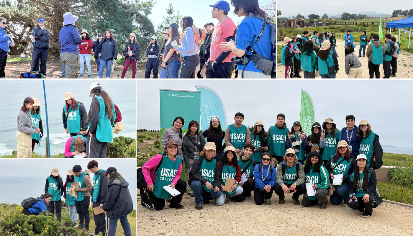 Registro fotográfico de la jornada de Voluntariado USACH SOSTENIBLE 2025, realizado con la colaboración de la Fundación Acantilados de Maitencillo.