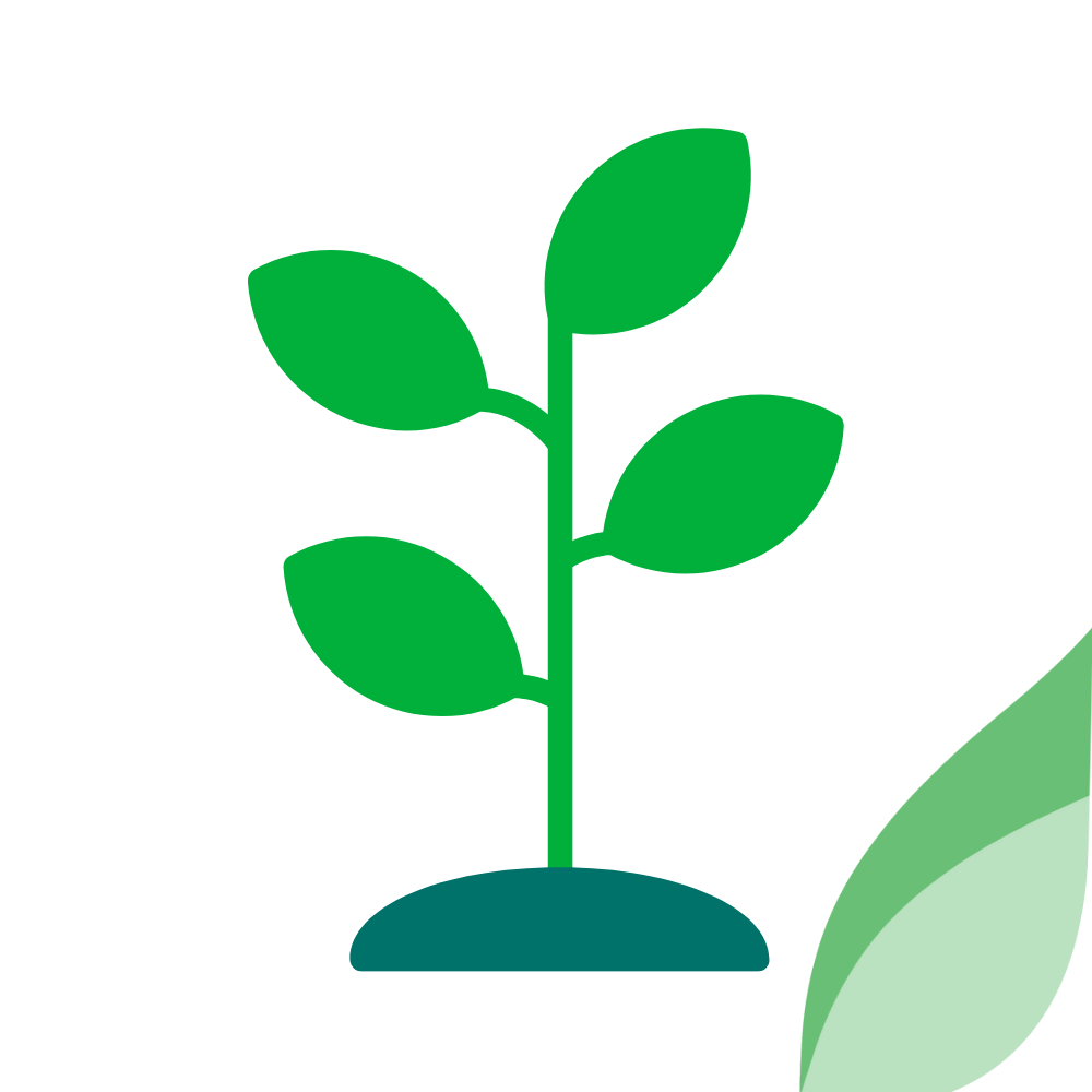 Brote de planta a nivel de suelo. Representa el desarrollo hacia un futuro sostenible con responsabilidad y el cuidado hacia el medio ambiente y las especies presentes dentro del campus. 