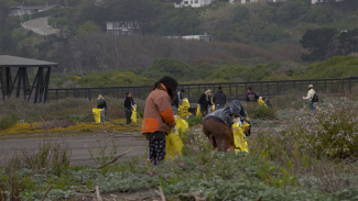 estudiantes en sector aledaño a humedal limpiando y recuperando basura en las playas. 