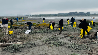 grupo de estudiantes participando en jornada de limpieza de playas