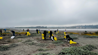 grupo de estudiantes participando en jornada de limpieza de playas