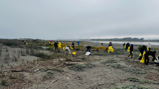 grupo de estudiantes participando en jornada de limpieza de playas